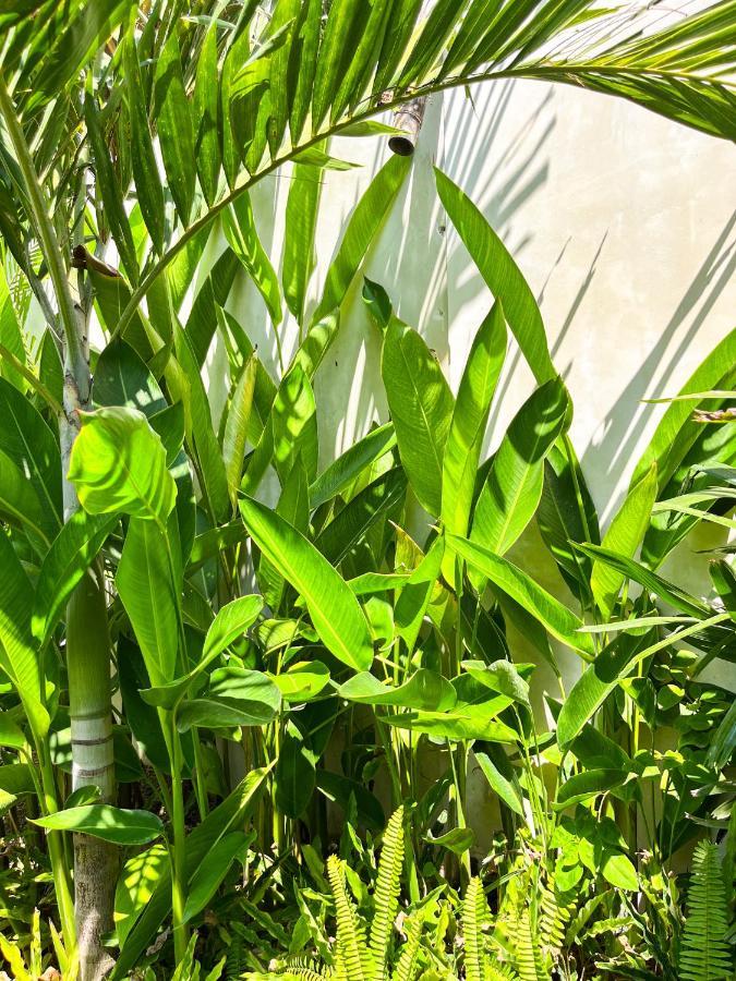 Las Flores Lombok Kuta  Екстер'єр фото